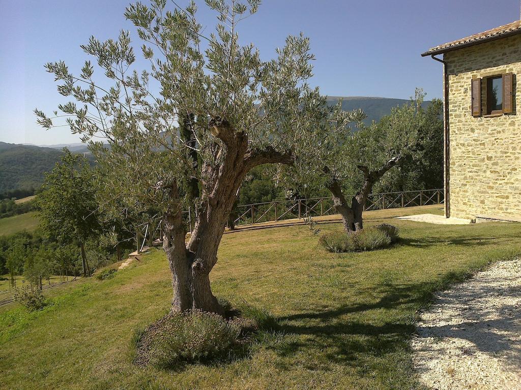 Agriturismo Paradiso 44 Assisi Exteriör bild