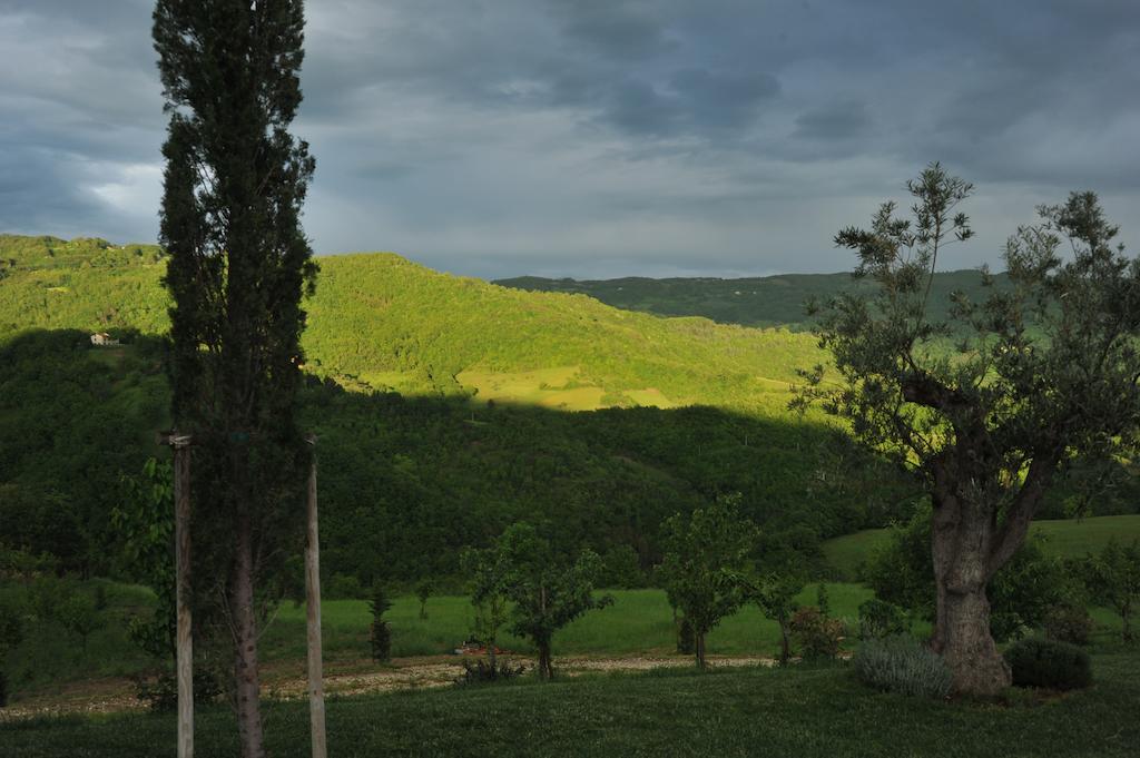 Agriturismo Paradiso 44 Assisi Exteriör bild