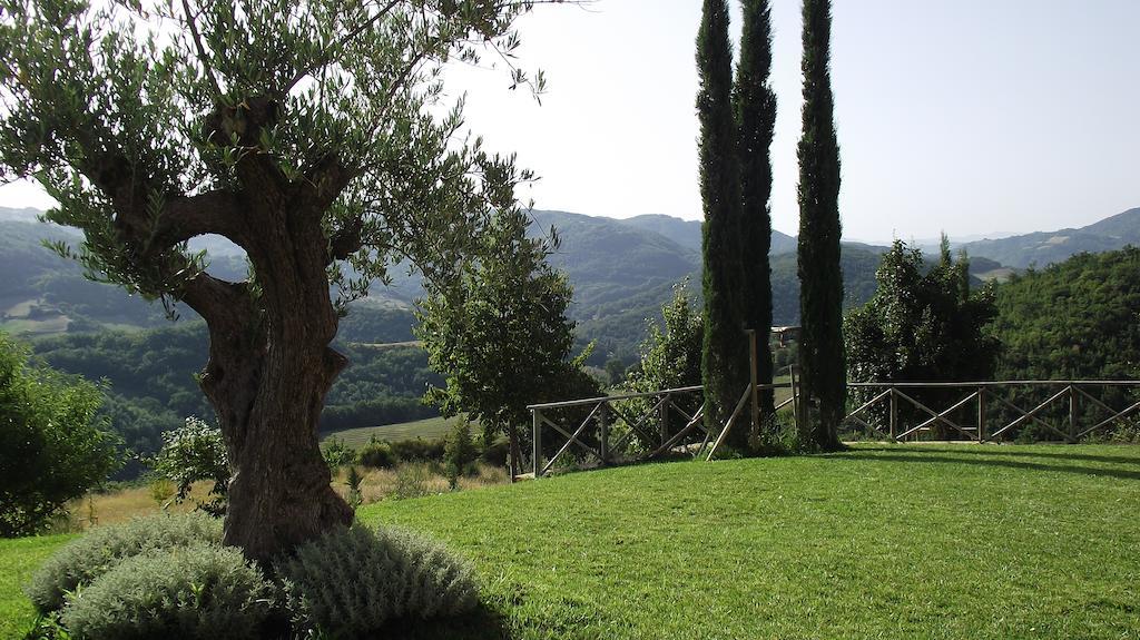 Agriturismo Paradiso 44 Assisi Exteriör bild