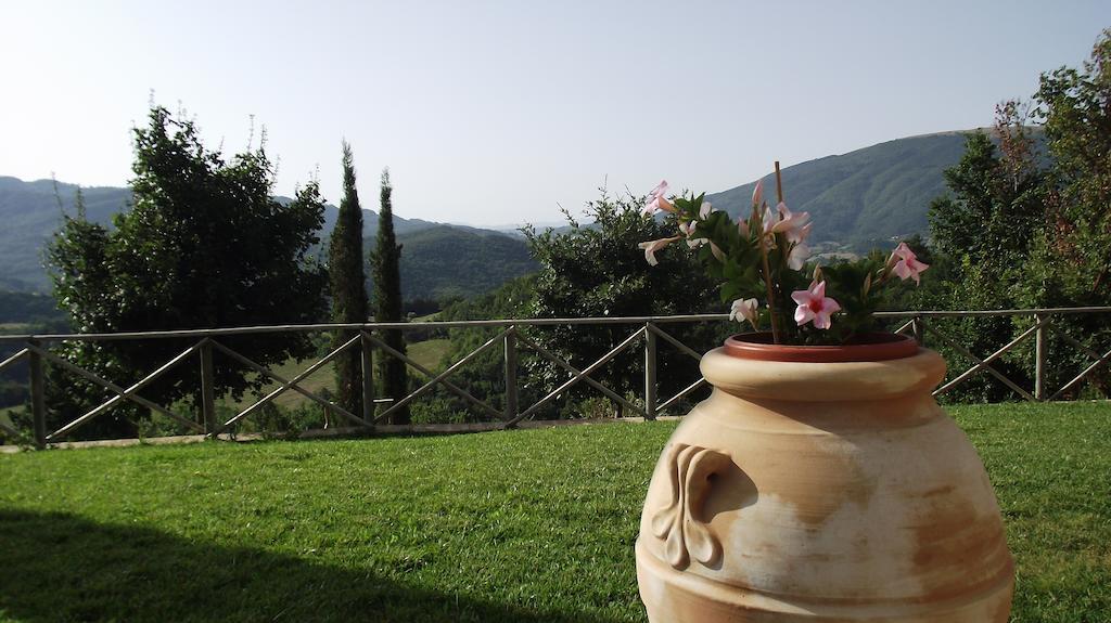 Agriturismo Paradiso 44 Assisi Exteriör bild
