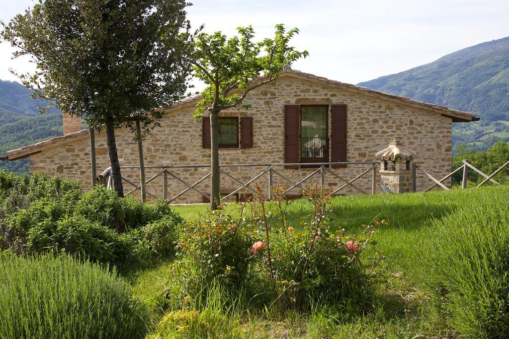 Agriturismo Paradiso 44 Assisi Exteriör bild