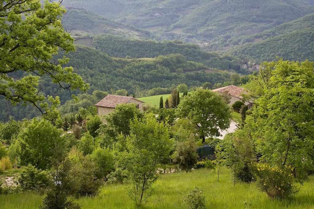 Agriturismo Paradiso 44 Assisi Exteriör bild